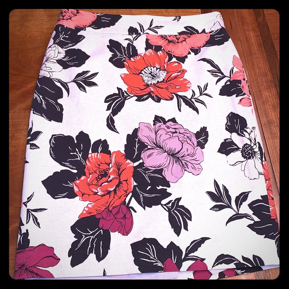 Ann Taylor Skirt